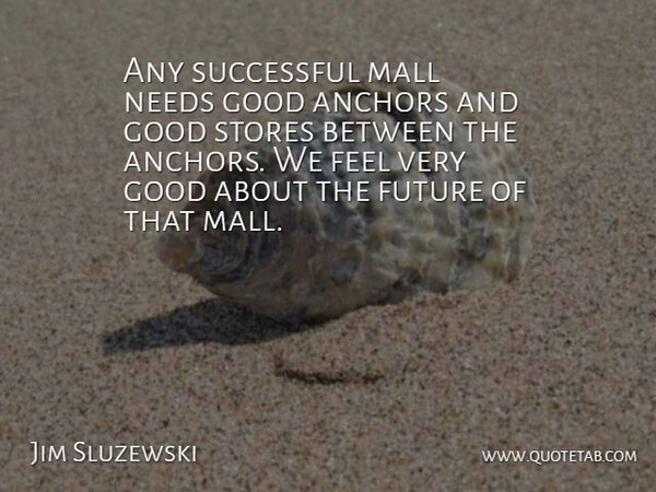 Jim Sluzewski Quote About Anchors, Future, Good, Mall, Needs: Any Successful Mall Needs Good...