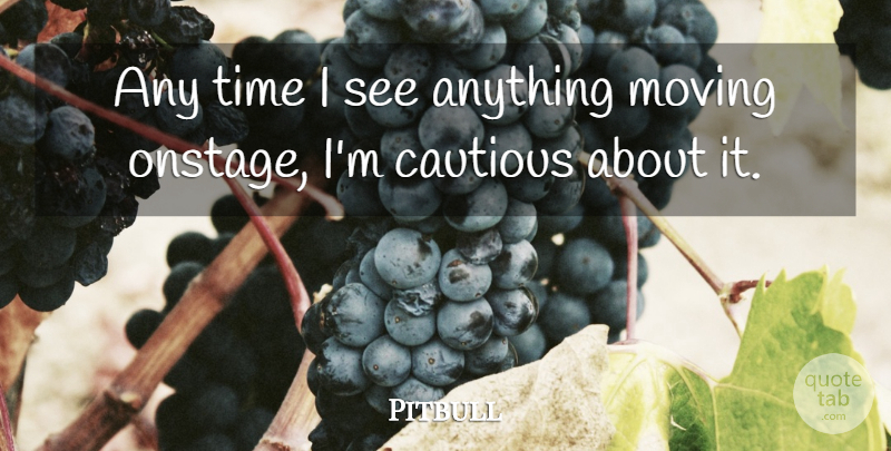 Pitbull Quote About Moving, Cautious: Any Time I See Anything...