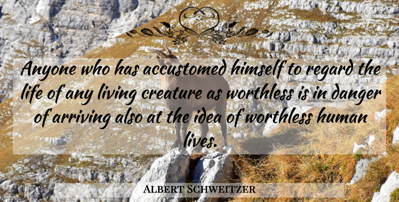Albert Schweitzer Quote About Cat, Animal, Vegetarianism: Anyone Who Has Accustomed Himself...