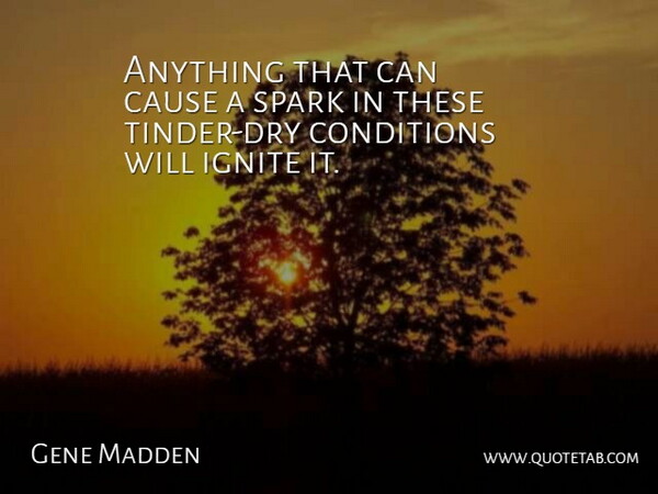 Gene Madden Quote About Cause, Conditions, Spark: Anything That Can Cause A...