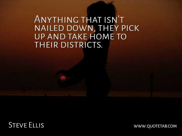 Steve Ellis Quote About Home, Nailed, Pick: Anything That Isnt Nailed Down...