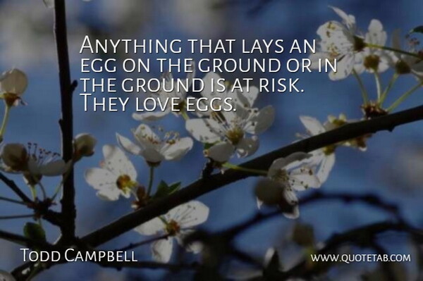 Todd Campbell Quote About Egg, Ground, Lays, Love: Anything That Lays An Egg...