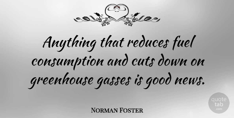 Norman Foster Quote About Cuts, Fuel, Good: Anything That Reduces Fuel Consumption...