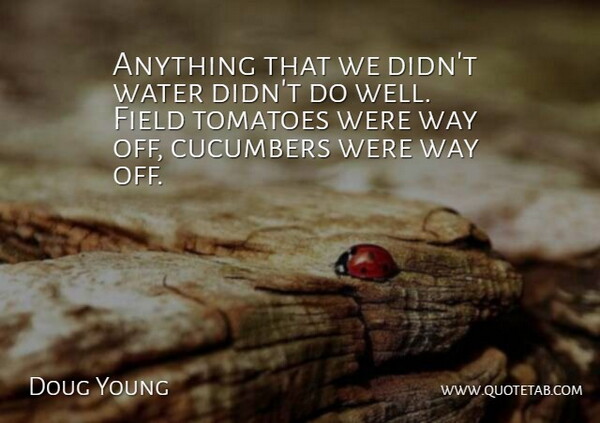 Doug Young Quote About Field, Tomatoes, Water: Anything That We Didnt Water...