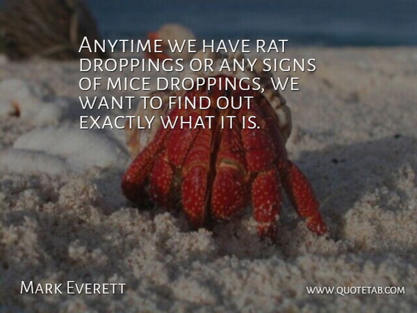 Mark Everett Quote About Anytime, Exactly, Mice, Rat, Signs: Anytime We Have Rat Droppings...