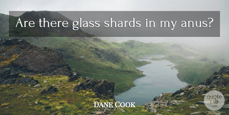 Dane Cook Quote About Glasses, Anus: Are There Glass Shards In...