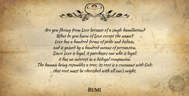 Rumi Quote About Life, Mean, Pride: Are You Fleeing From Love...