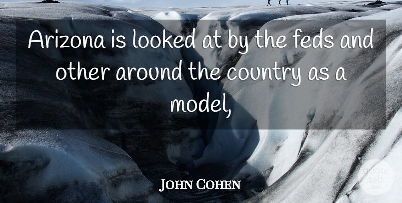 John Cohen Quote About Arizona, Country, Looked: Arizona Is Looked At By...