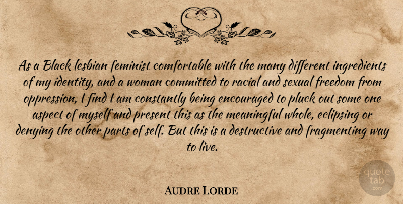 Audre Lorde Quote About Meaningful, Acceptance, Self: As A Black Lesbian Feminist...