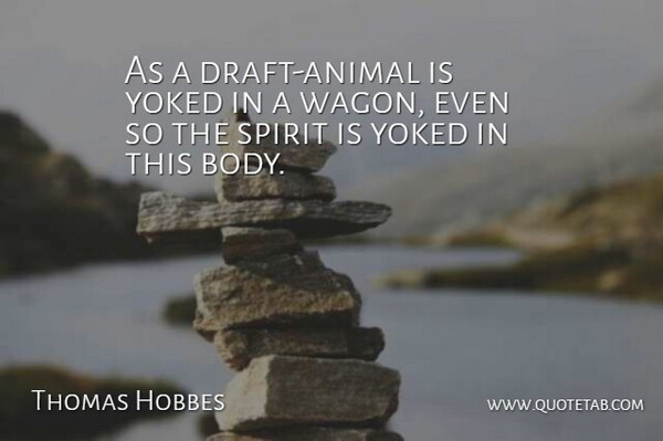 Thomas Hobbes Quote About Animal, Body, Wagons: As A Draft Animal Is...