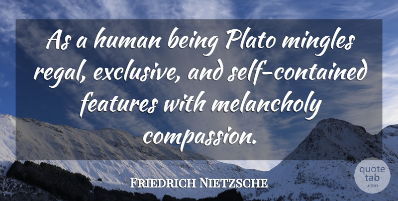 Friedrich Nietzsche Quote About Plato, Compassion, Self: As A Human Being Plato...