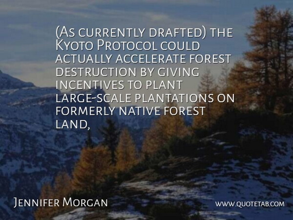 Jennifer Morgan Quote About Accelerate, Currently, Forest, Giving, Incentives: As Currently Drafted The Kyoto...