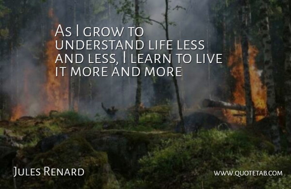 Jules Renard Quote About Grow, Learn, Less, Life, Understand: As I Grow To Understand...