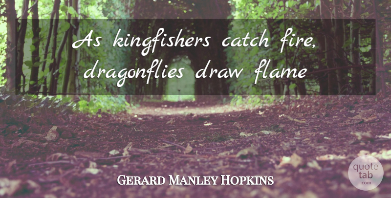Gerard Manley Hopkins Quote About Nature, Flames, Color: As Kingfishers Catch Fire Dragonflies...