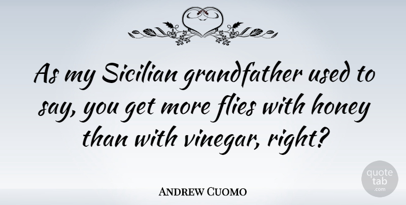 Andrew Cuomo Quote About Grandfather, Vinegar, Honey: As My Sicilian Grandfather Used...