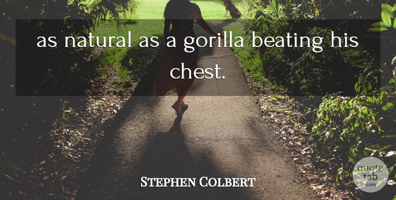 Stephen Colbert Quote About Beating, Gorilla, Natural: As Natural As A Gorilla...