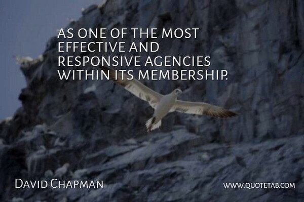 David Chapman Quote About Agencies, Effective, Responsive, Within: As One Of The Most...