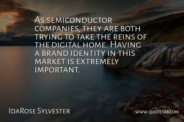 IdaRose Sylvester Quote About Both, Brand, Digital, Extremely, Home: As Semiconductor Companies They Are...