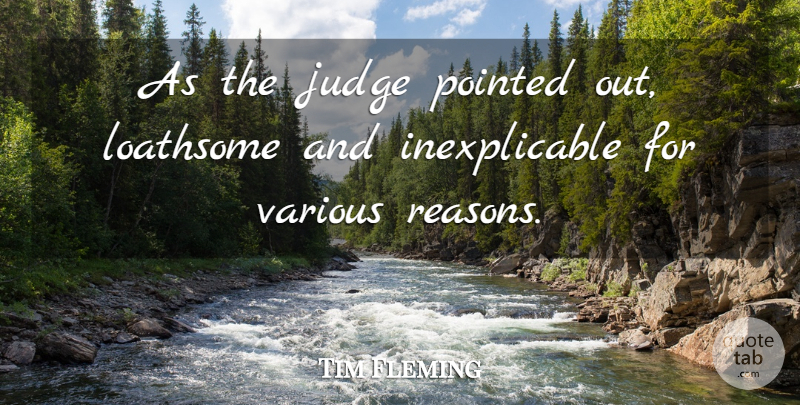 Tim Fleming Quote About Judge, Loathsome, Pointed, Various: As The Judge Pointed Out...