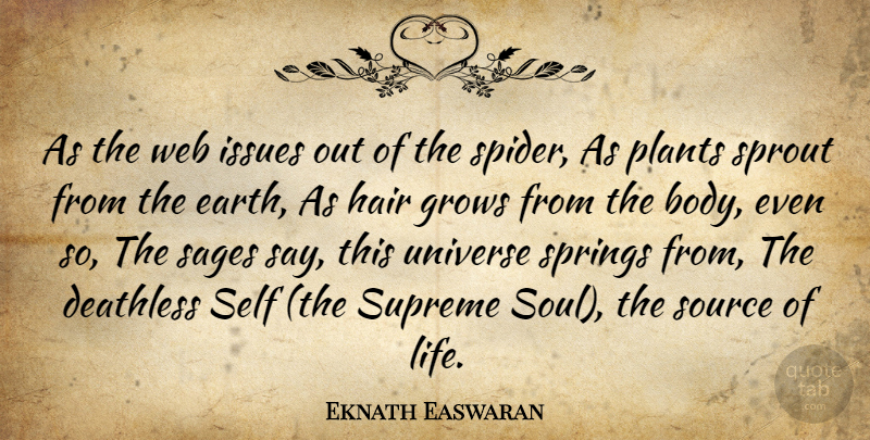Eknath Easwaran Quote About God, Spring, Self: As The Web Issues Out...