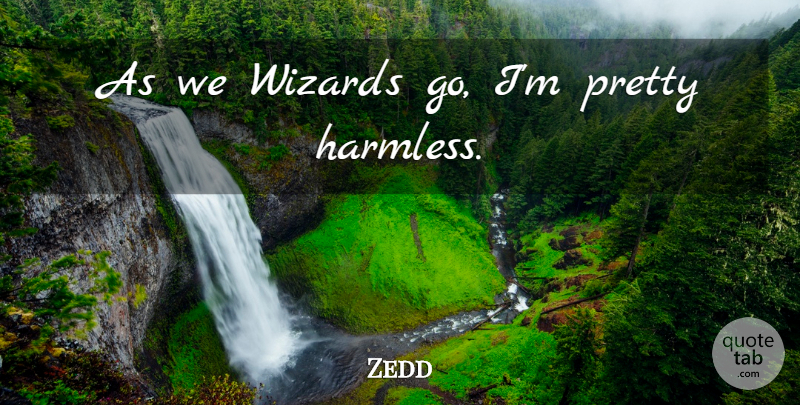 Zedd Quote About Wizards: As We Wizards Go Im...