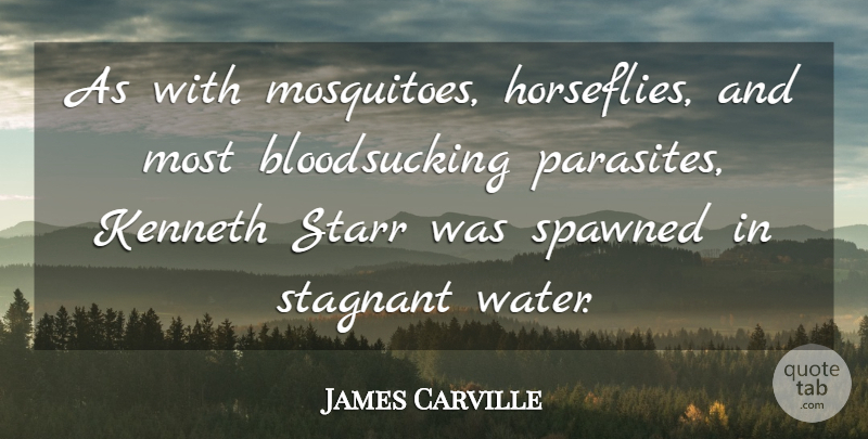 James Carville Quote About Water, Mosquitoes, Parasites: As With Mosquitoes Horseflies And...