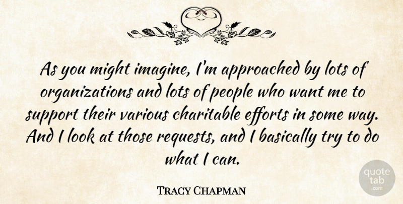 Tracy Chapman Quote About Basically, Efforts, Lots, Might, People: As You Might Imagine Im...