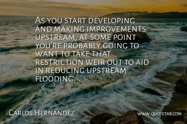 Carlos Hernandez Quote About Aid, Developing, Point, Reducing, Start: As You Start Developing And...