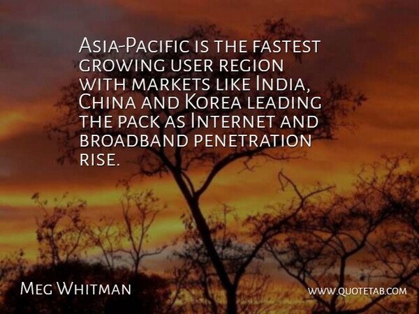 Meg Whitman Quote About Broadband, China, Fastest, Growing, Internet: Asia Pacific Is The Fastest...