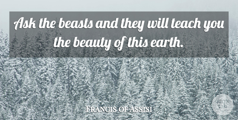 Francis of Assisi Quote About Loss, Pet, Earth: Ask The Beasts And They...