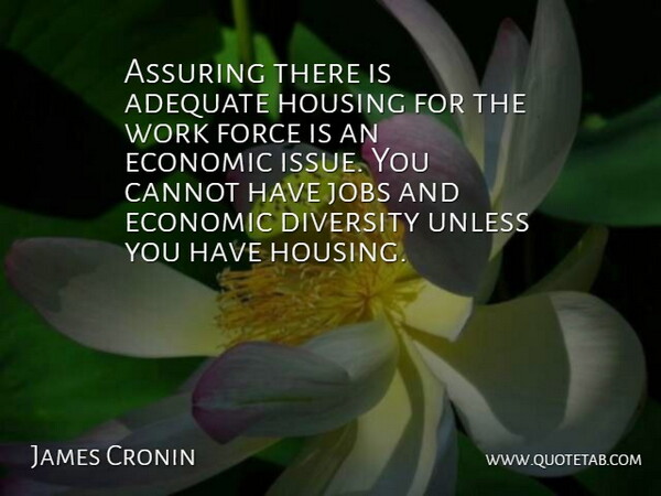 James Cronin Quote About Adequate, Cannot, Diversity, Economic, Force: Assuring There Is Adequate Housing...