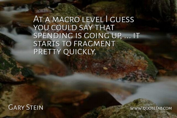 Gary Stein Quote About Fragment, Guess, Level, Spending, Starts: At A Macro Level I...