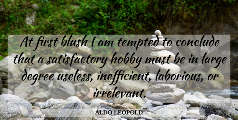 Aldo Leopold Quote About Useless, Firsts, Hobbies: At First Blush I Am...