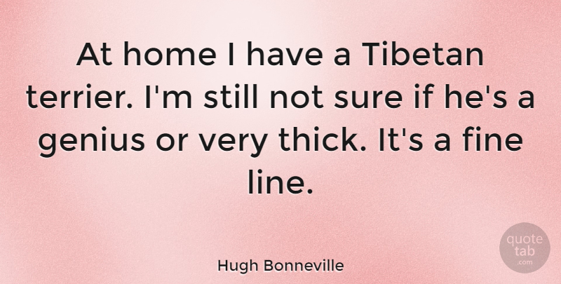 Hugh Bonneville Quote About Home, Genius, Lines: At Home I Have A...