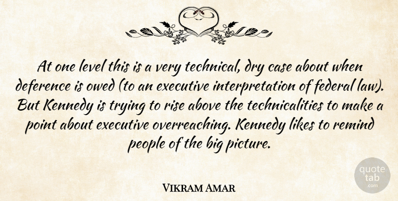 Vikram Amar Quote About Above, Case, Dry, Executive, Federal: At One Level This Is...