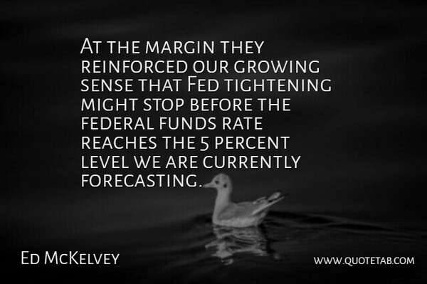 Ed McKelvey Quote About Currently, Fed, Federal, Funds, Growing: At The Margin They Reinforced...