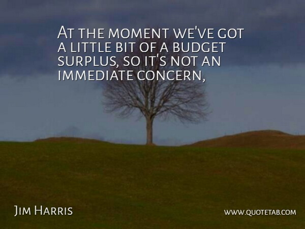 Jim Harris Quote About Bit, Budget, Immediate, Moment: At The Moment Weve Got...