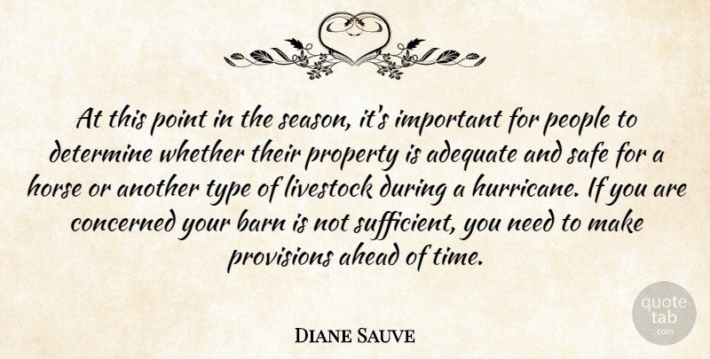 Diane Sauve Quote About Adequate, Ahead, Barn, Concerned, Determine: At This Point In The...