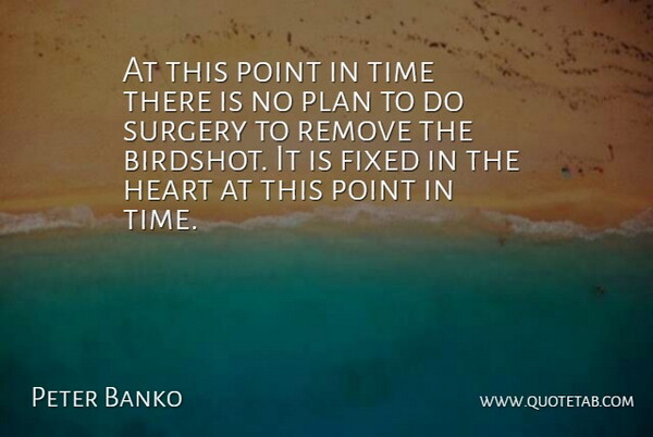 Peter Banko Quote About Fixed, Heart, Plan, Point, Remove: At This Point In Time...