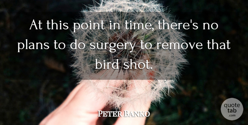 Peter Banko Quote About Bird, Plans, Point, Remove, Surgery: At This Point In Time...