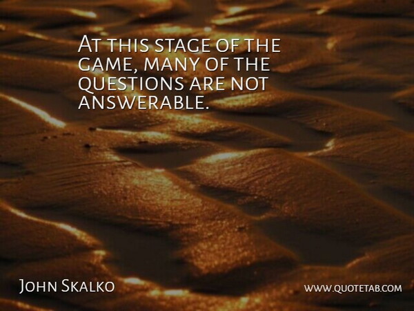 John Skalko Quote About Questions, Stage: At This Stage Of The...