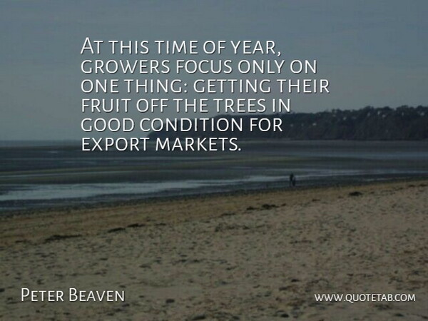 Peter Beaven Quote About Condition, Export, Focus, Fruit, Good: At This Time Of Year...