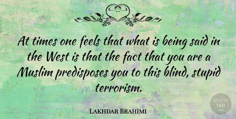 Lakhdar Brahimi Quote About Stupid, West, Facts: At Times One Feels That...
