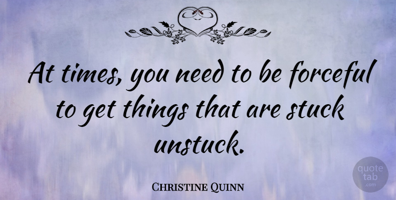Christine Quinn Quote About Needs, Stuck: At Times You Need To...