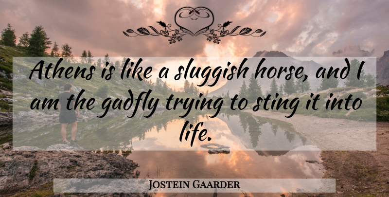 Jostein Gaarder Quote About Horse, Trying, Gadflies: Athens Is Like A Sluggish...