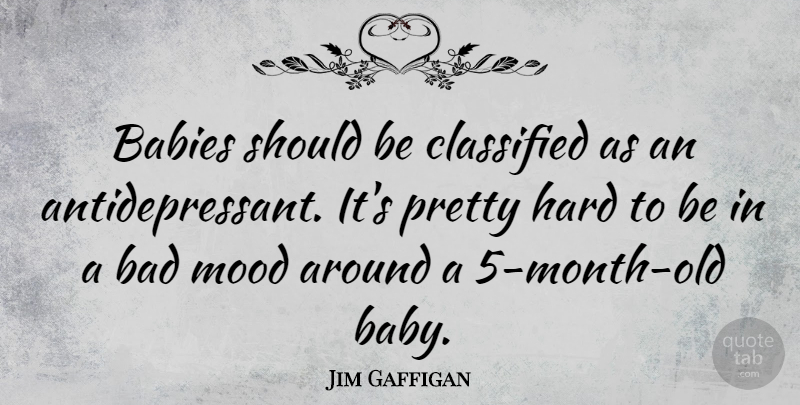 Jim Gaffigan Quote About Baby, Bad Mood, Months: Babies Should Be Classified As...