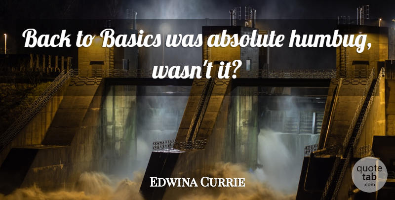 Edwina Currie Quote About Basics, Humbug, Back To Basics: Back To Basics Was Absolute...