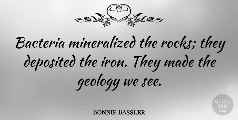 Bonnie Bassler Quote About Iron, Rocks, Bacteria: Bacteria Mineralized The Rocks They...