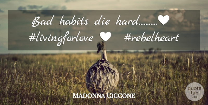 Madonna Ciccone Quote About Habit, Bad Habits, Hard: Bad Habits Die Hardheavy Heart...