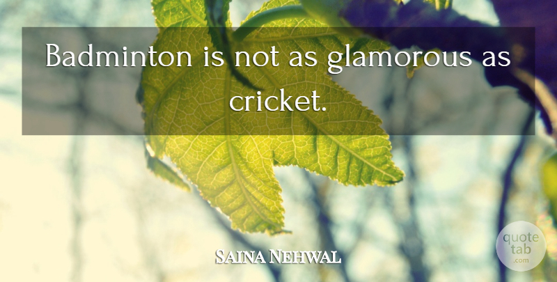 Saina Nehwal Quote About Badminton, Cricket, Glamorous: Badminton Is Not As Glamorous...